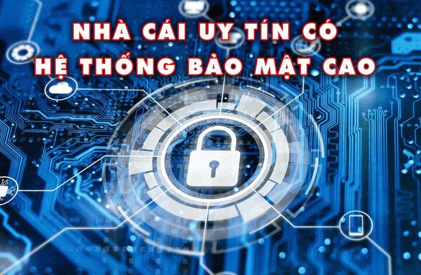 Chính sách và điều khoản về thu thập dữ liệu